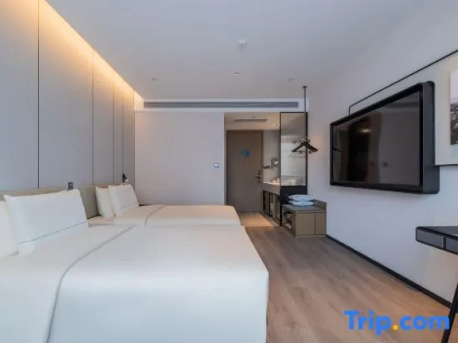 Executive Twin room