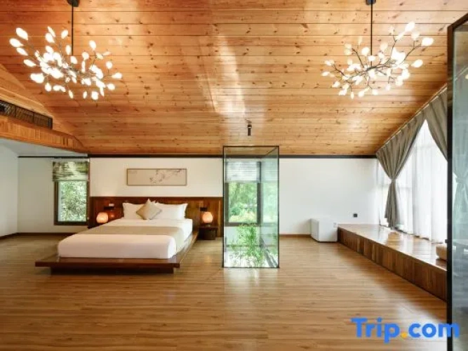 Standard Duplex room with view