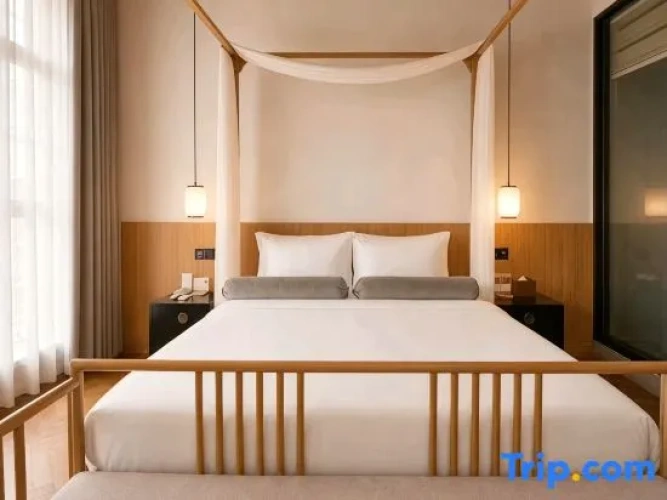 1 Bedroom Suite