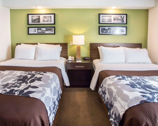 Standard Quadruple room