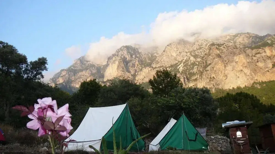 Asiyan Kamp
