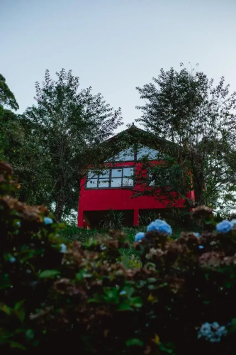 Sitio Das Hortensias