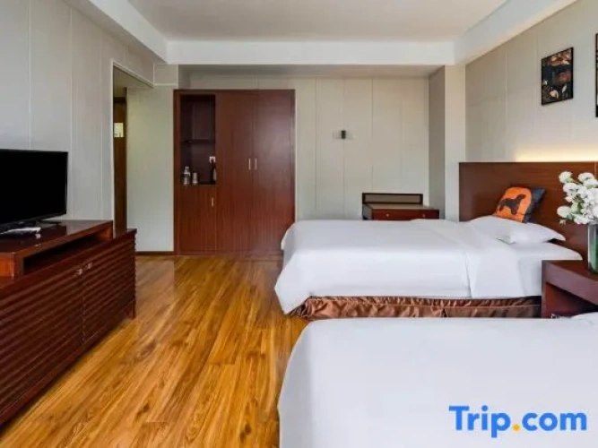 Standard Double room with city view