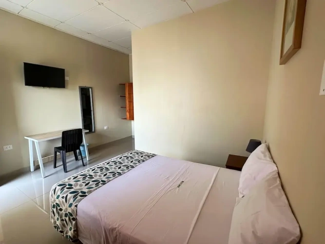 Standard Single room with garden view