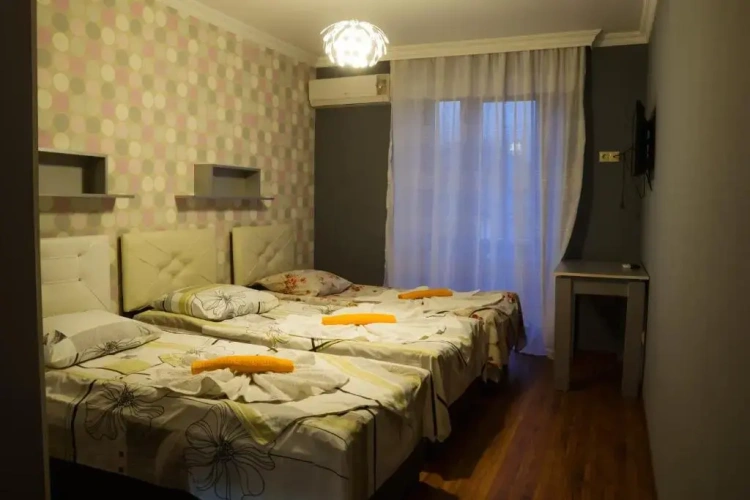 Standard Double room with balcony and with view