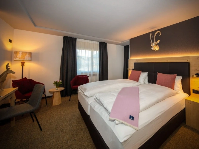 1 Bedroom Deluxe Double room with city view