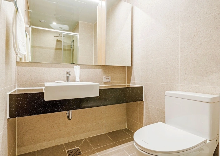 Deluxe Twin room with city view