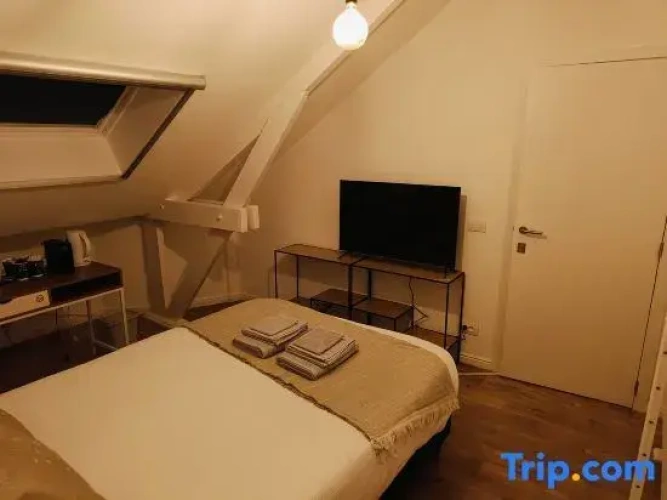 Standard Double Family room
