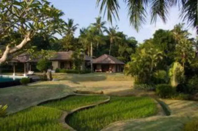 The Lotus Residence