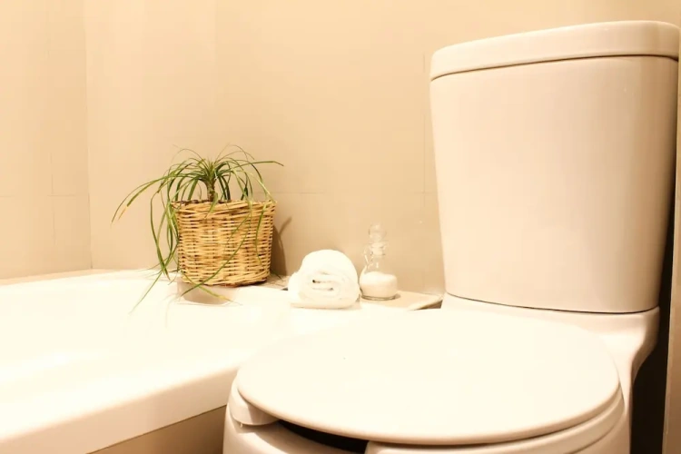 Comfort Suite