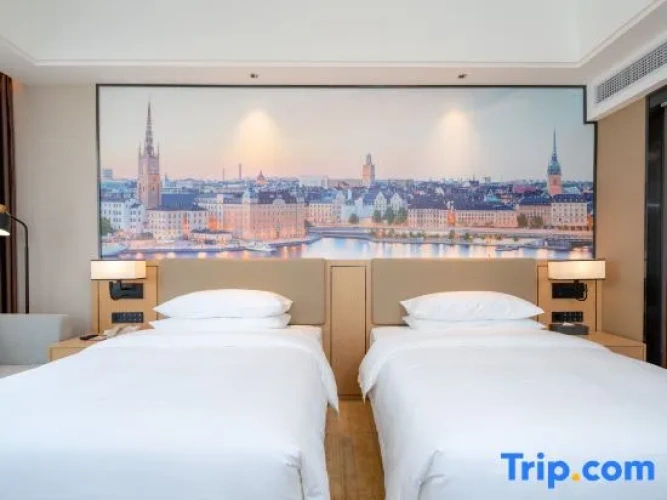 Deluxe Twin room with city view