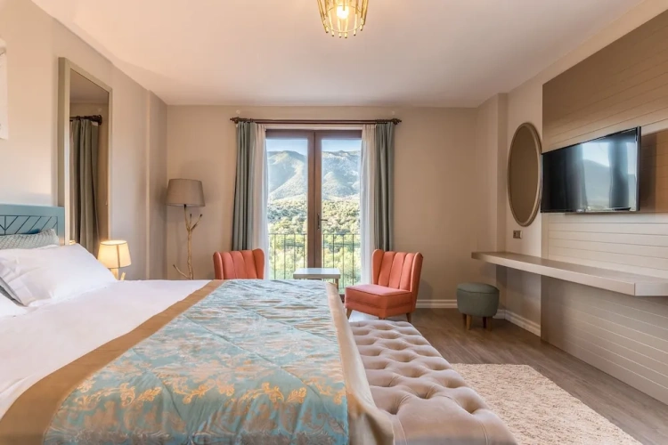 Deluxe room with balcony and with garden view