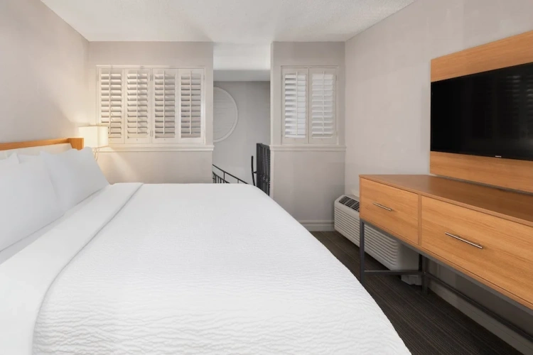 1 Bedroom Suite