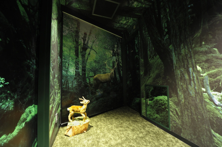 SHIBUYA HOTEL EN Over view