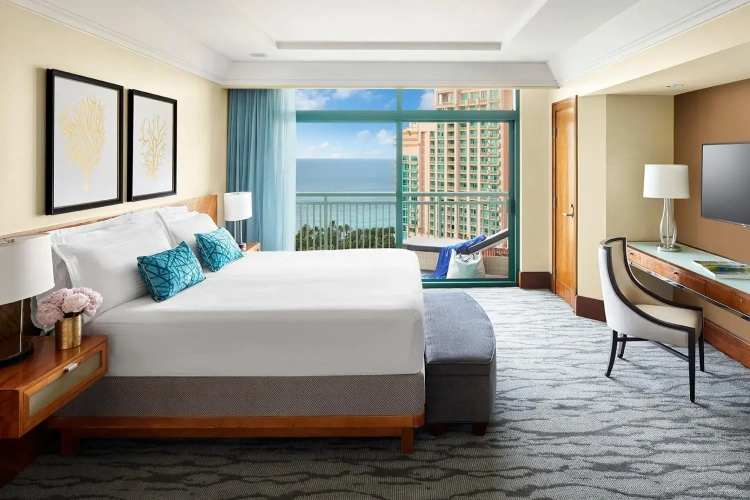 1 Bedroom Suite