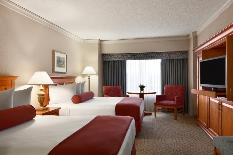 Luxury Double Suite with view