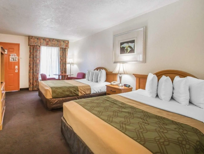 Quadruple Suite