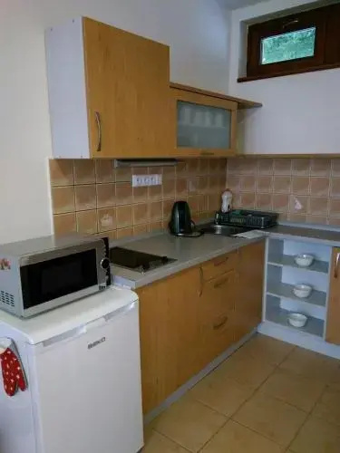 Apartmány pod vlekem
