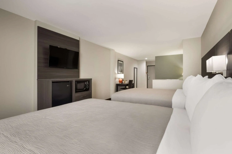 Quadruple Suite