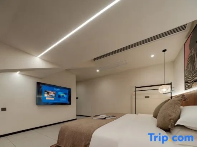 Standard Double Attic room