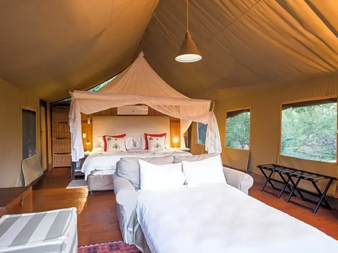 Standard Family room