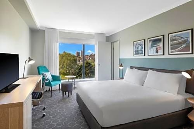 Deluxe Suite with park view