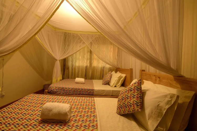Cycad Entebbe Guest House