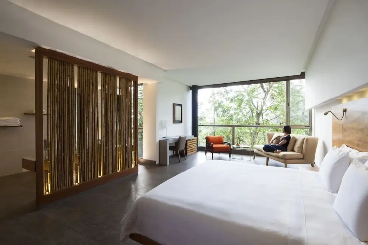 Luxury Double Suite