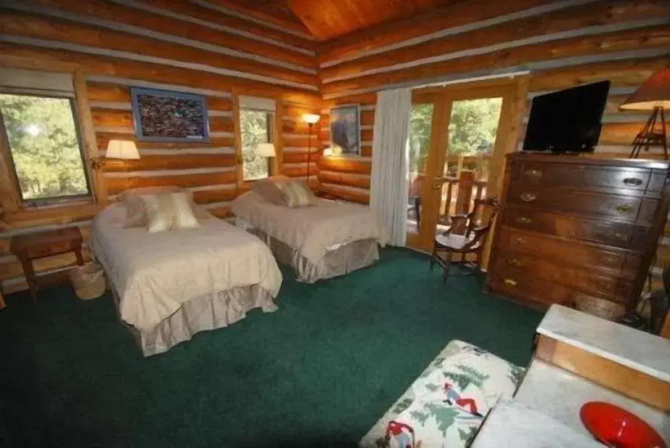 Lenawee Log Home In Dillon