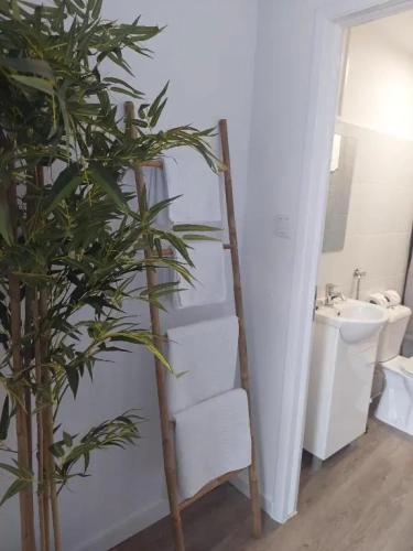 Deluxe Double room with balcony and with sea view