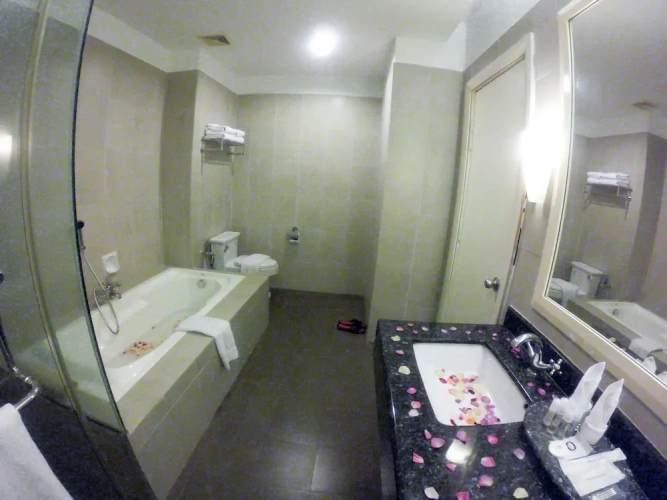 1 Bedroom Executive Suite with view