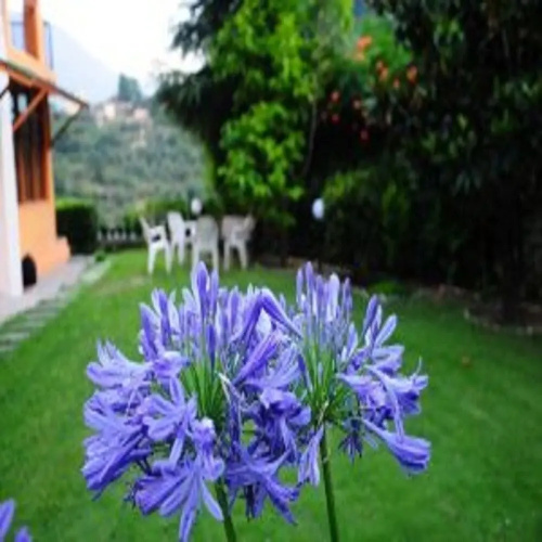Nirvana Village Retreat