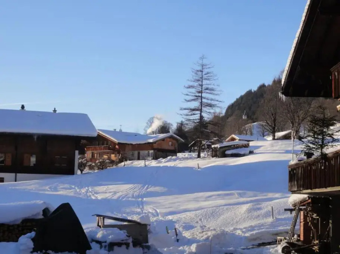 Chalet Engi for 4-6 People