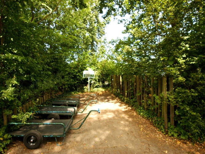 Cottage