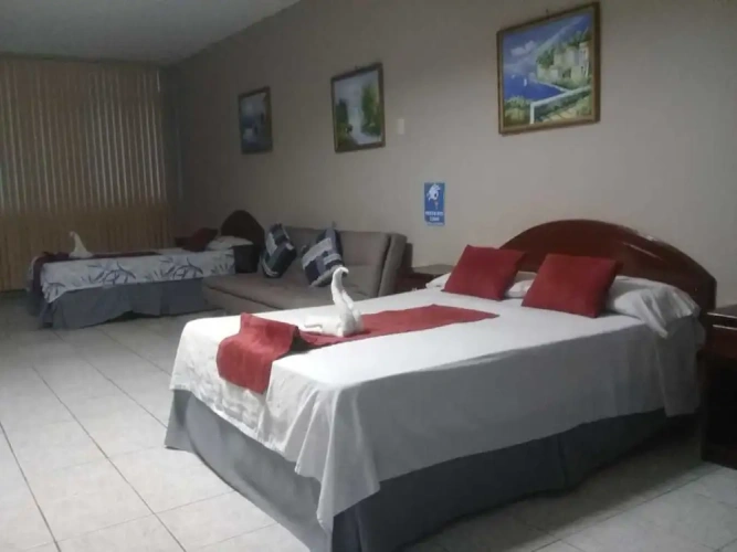 1 Bedroom Economy Double room with city view