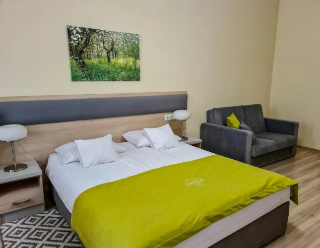 Hotel Antonińska