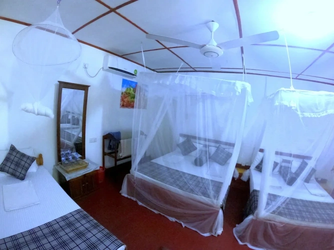 1 Bedroom Standard Family room with garden view