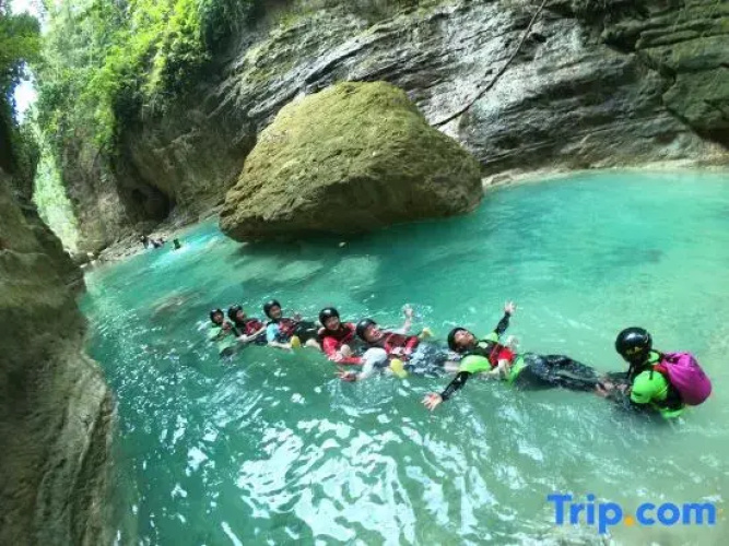 Treeshade Resort & Spa Moalboal