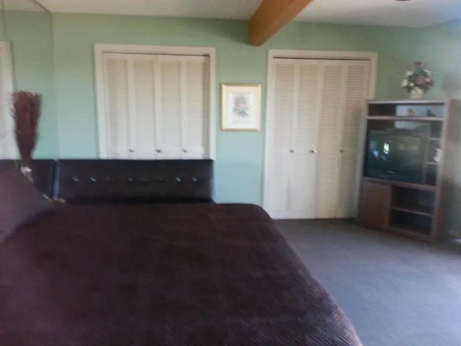 Standard Double room with lake view