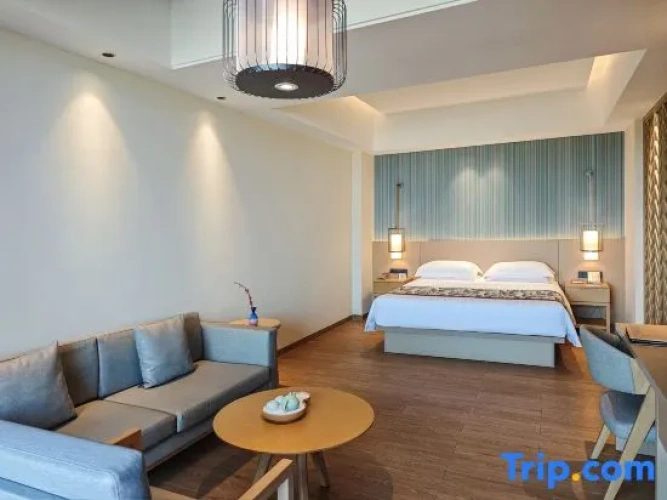 Single Suite