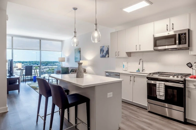 Luxury Apartment