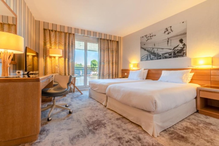 Premium Twin room with balcony and with garden view