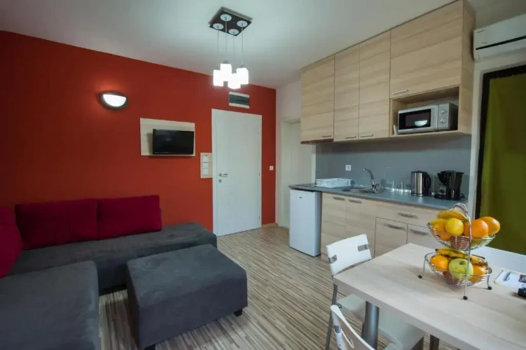 1 Bedroom Apartment