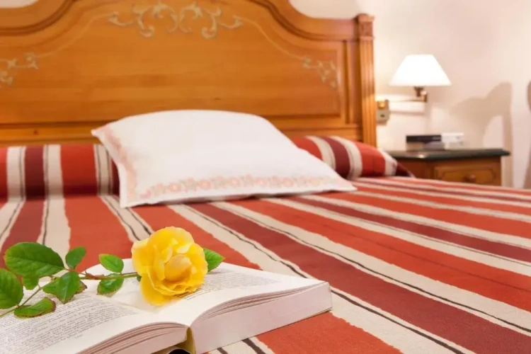 Standard Single room with balcony