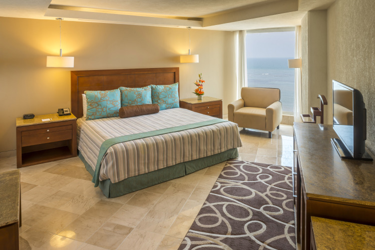 Camino Real VeracruzOver view