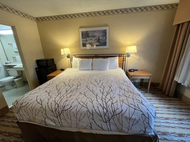 Standard Double room with city view
