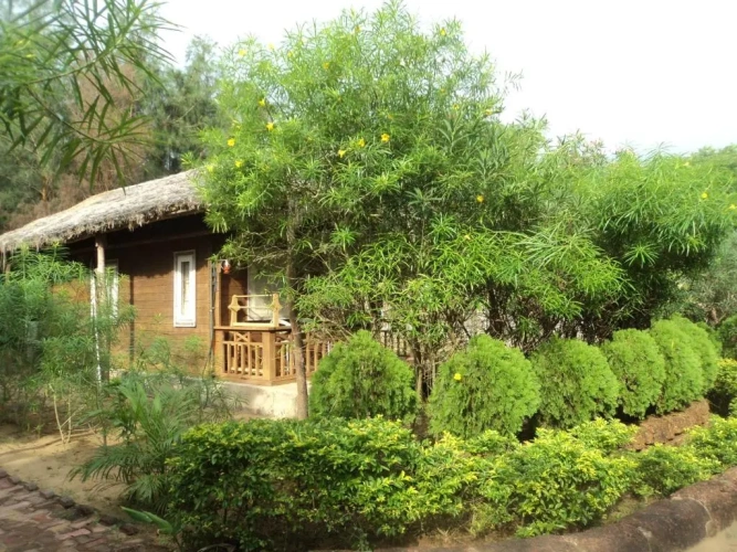 Premium Villa