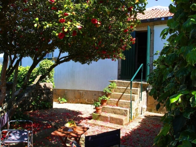 Deluxe Twin room with balcony and with garden view