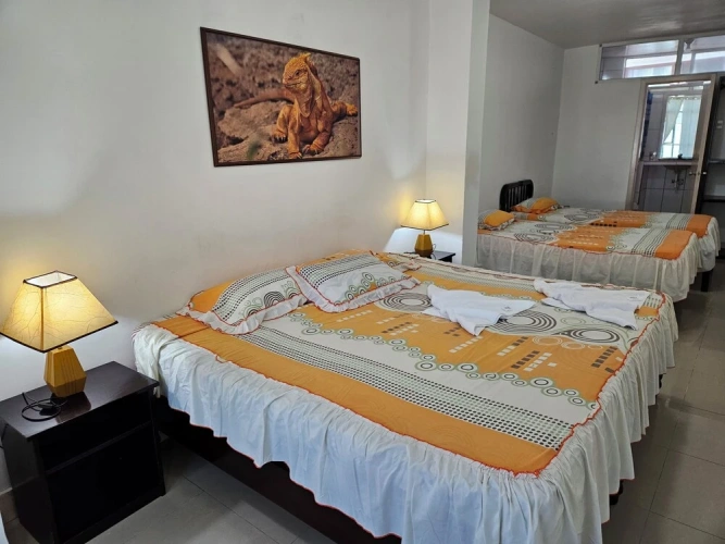 1 Bedroom Standard Quadruple Family room