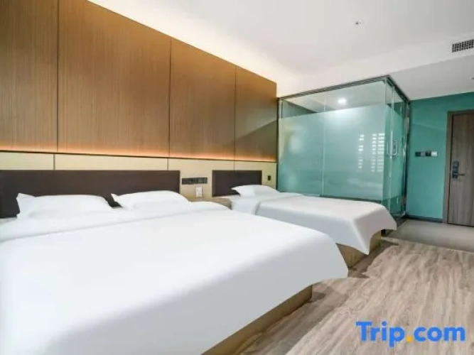 Standard Twin Family room
